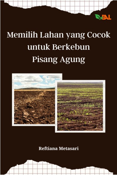 Memilih Lahan yang Cocok untuk Berkebun Pisang Agung